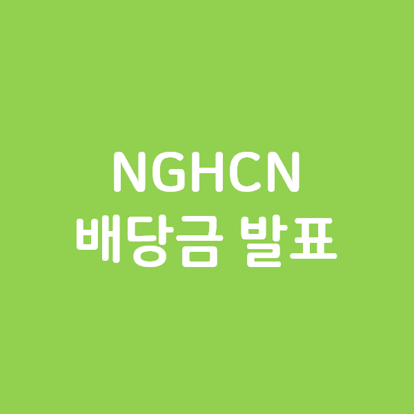  National General Holding NGHCN 배당금 발표
