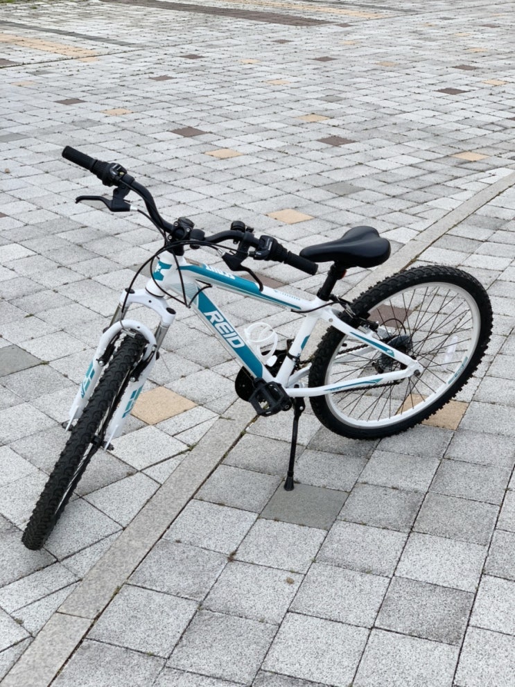 초등학생 어린이날 선물추천, 리드바이크 스카우트 아동용 자전거