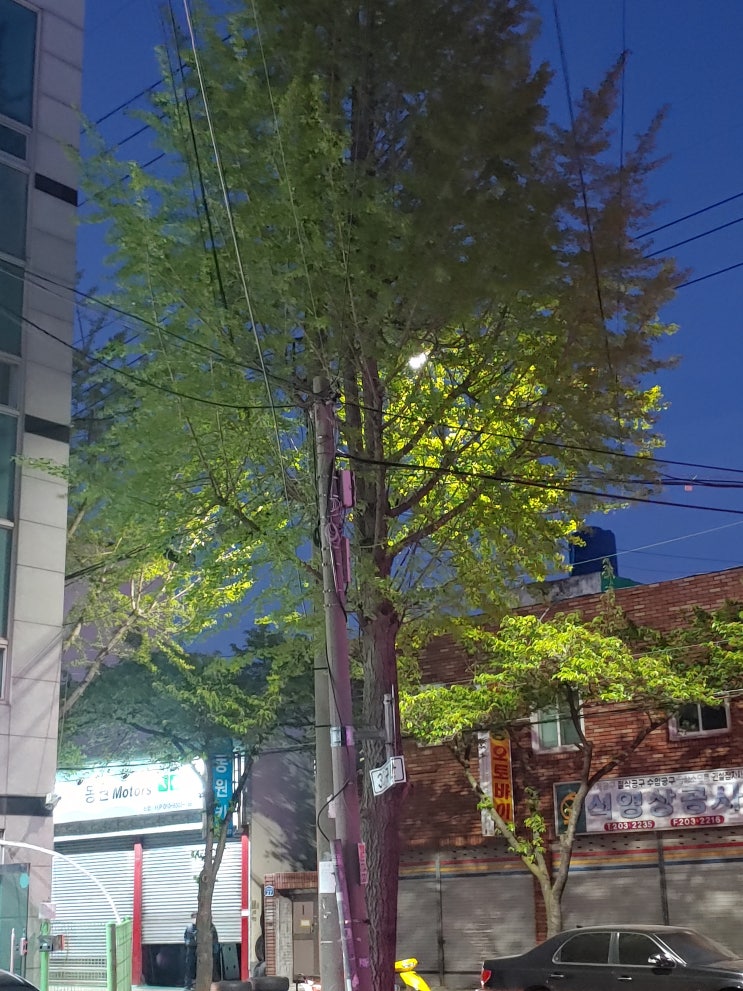  [코로나지원]무급휴업휴직 고용유지지원금 지급규정 개정[부산급여관리]