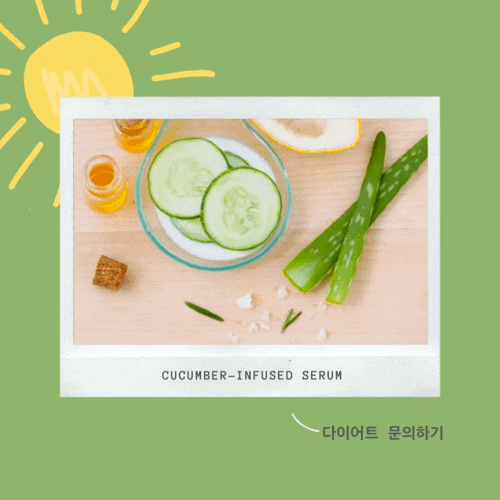  새로 나온 책 - 다이어트 관련 도서