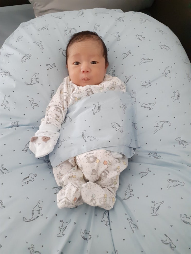  정우의 생후 20일간의 기록