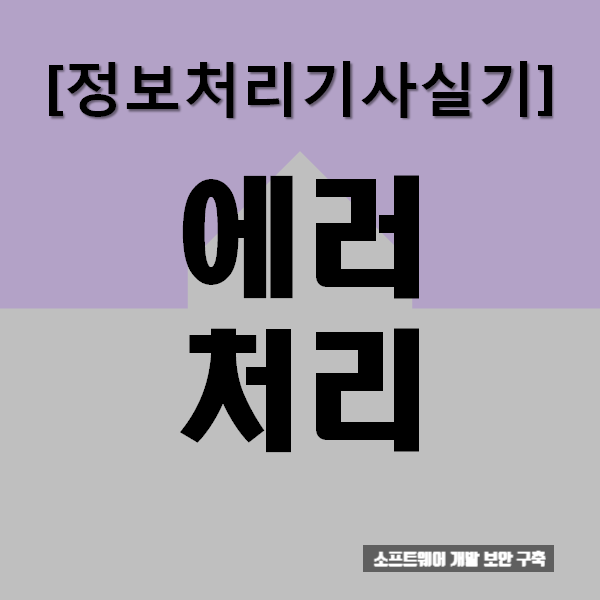  정보처리기사실기  에러처리 : 요약과 문제