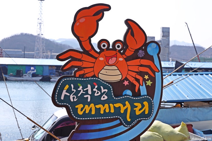 강원도 삼척항 대거거리를 아십니까 강원도 삼척항 대거거리를 아십니까