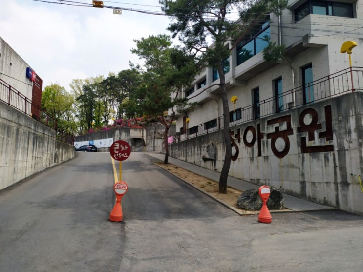  일산 청아공원 방문 후 청기와뼈다귀해장국 본점 뼈전골포장