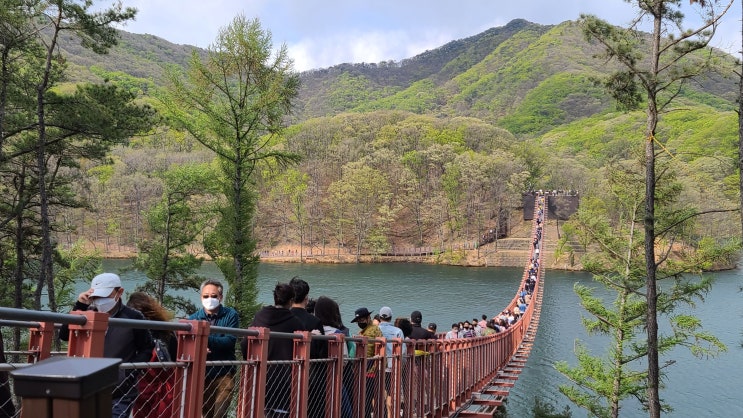  파주 온가족이 가볼만한 곳 마장호수 출렁다리  주차힘든 레드브릿지말고  물댄동산카페로