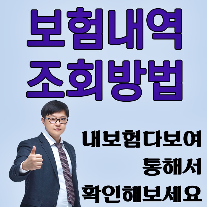 내보험다보여 보험가입내역조회 방법