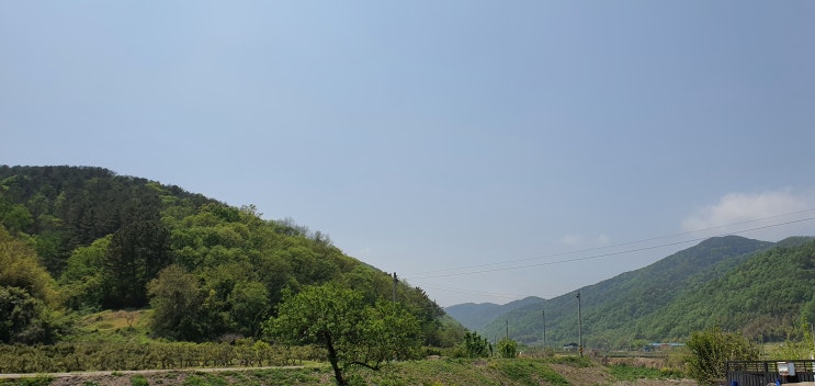  ㅎㅎ 시골이에용~