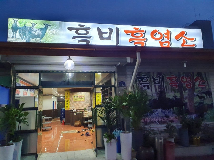 흑비흑염소 사진 1