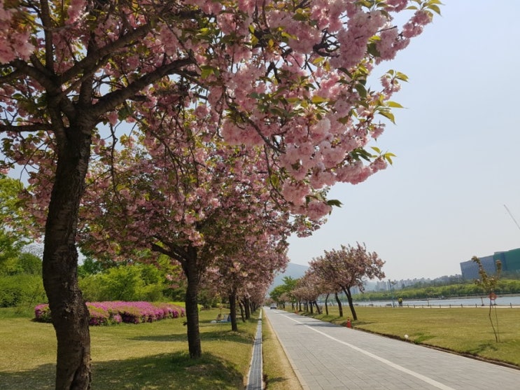  하남 산책 나들이: 경정공원
