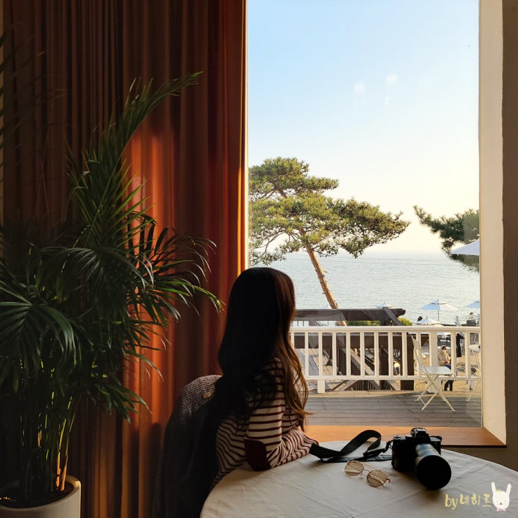  강화도 오션뷰 카페 토크라피 talkraphy