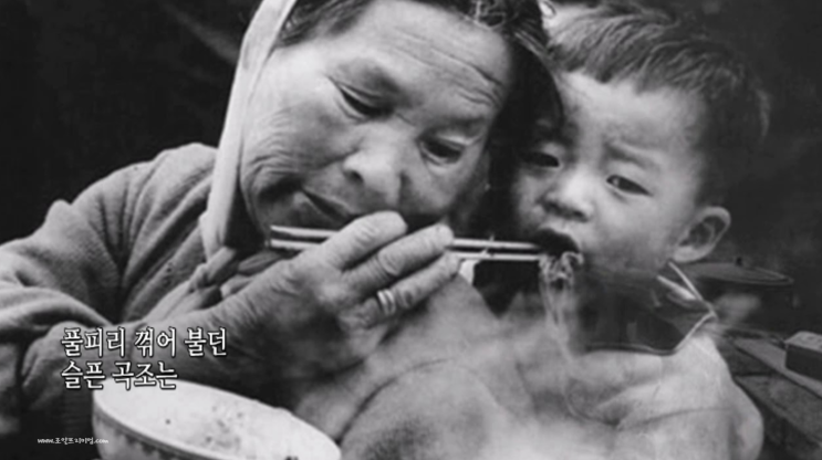  머릿속에 자꾸 맴도는 트로트 모음