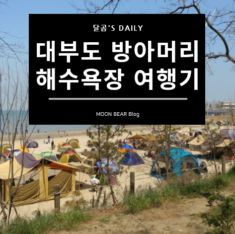 대부도 방아머리 해수욕장 캠핑의 모든것(주차, 취사, 조개잡이, 갯벌체험, with 트레이더스 캠핑의자)
