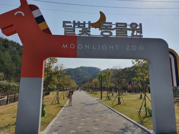  펫힐링 달빛동물원 강원도 영월 가족나들이