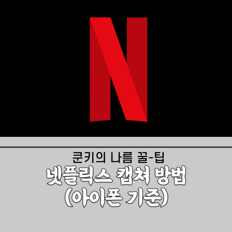 넷플릭스 캡쳐하는 방법(아이폰 기준)
