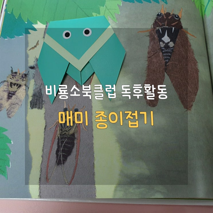  엄마표 책육아 비룡소 북클럽 매미의 한살이