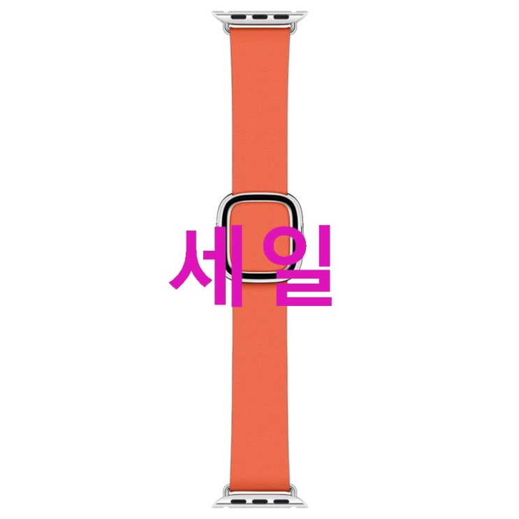 애플워치 모던 버클 Large 40mm MV6T2FE/A! 할인 안내해요!