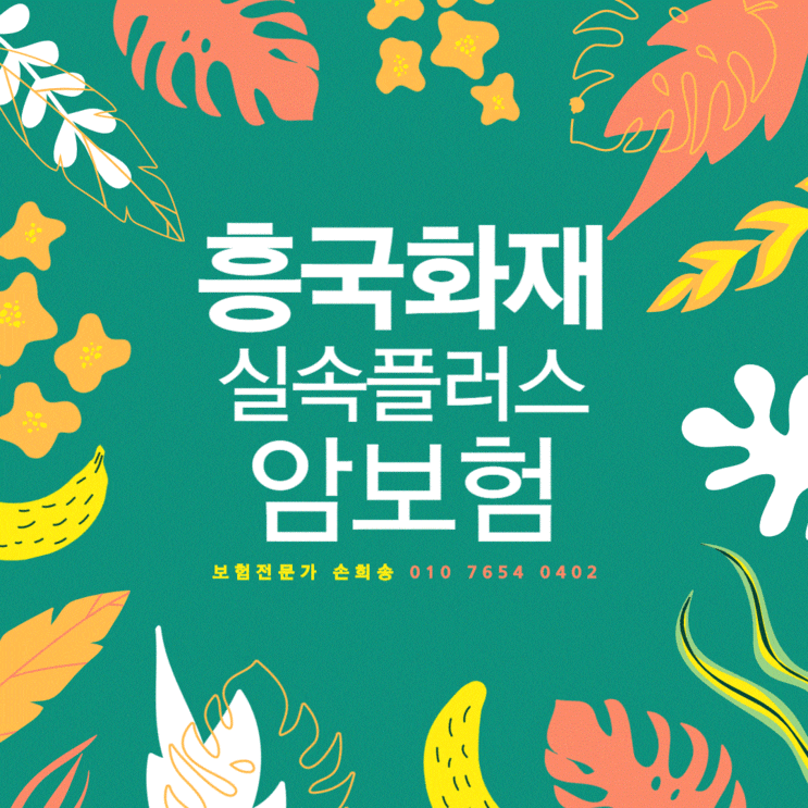 흥국화재 실속플러스 암보험