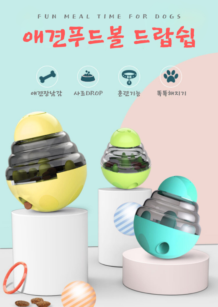  말 안듣는 애견 해결방법이 있다면?