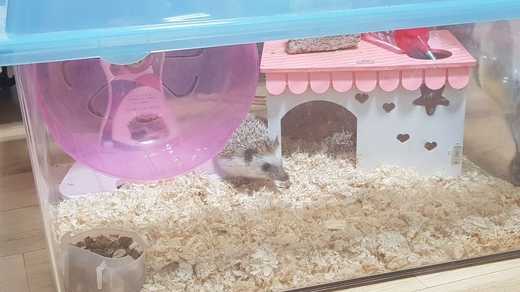  왜 비하인드 스토리 조회수가 폭발하지...