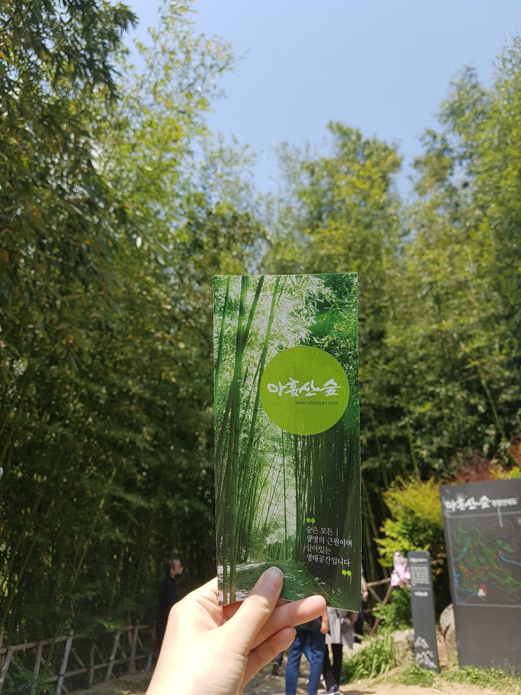  부산 기장 철마 대나무숲/부산 기장 더킹 드라마 촬영지/부산 가볼만한곳 : 아홉산숲
