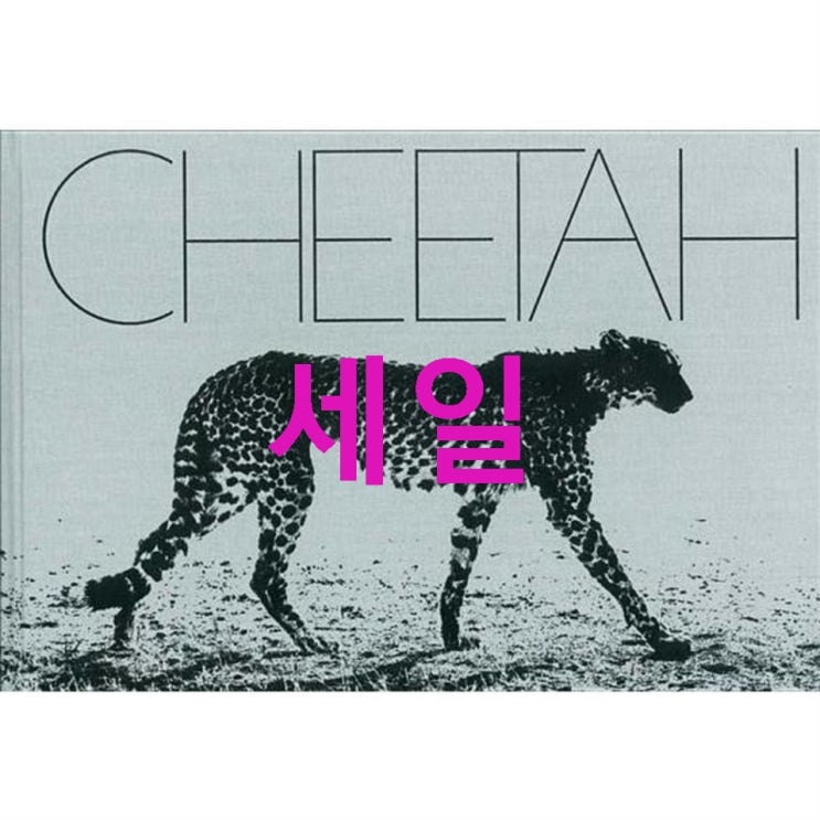 Mark Segal: Cheetah! 구경하세요~