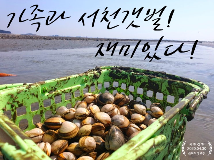  가족과함께 서천갯벌 체험도하고 맛있게 먹기!