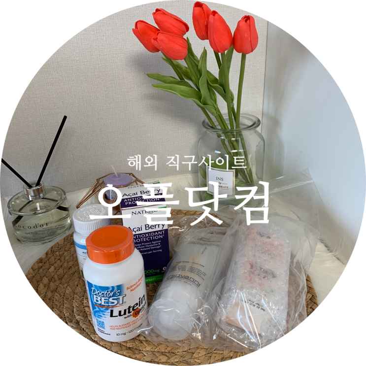  해외직구 오플닷컴 다이어트 영양제 쇼핑몰 후기