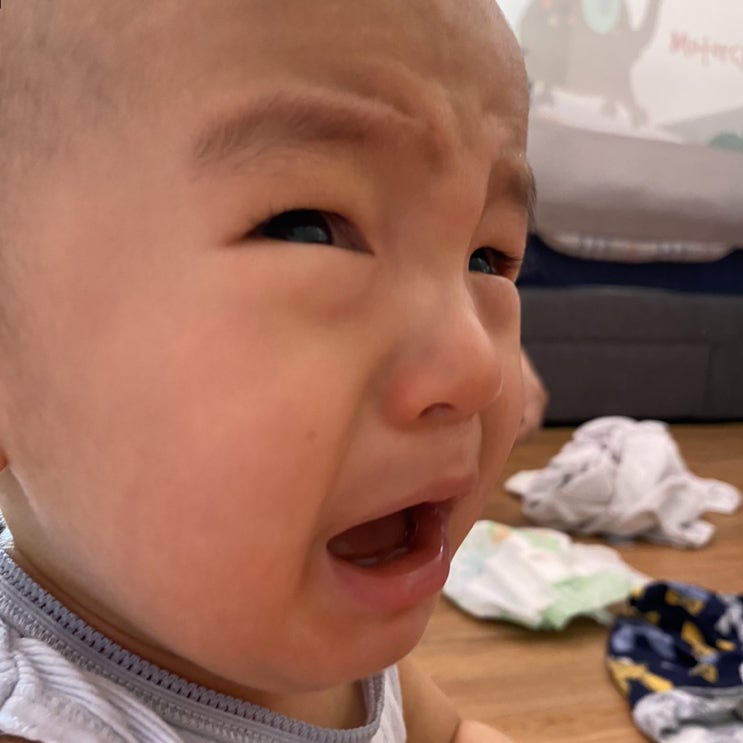  D+356 _ 엄마는 오늘 무슨일이 일어날지도 모른채 : 아기 계란 알러지