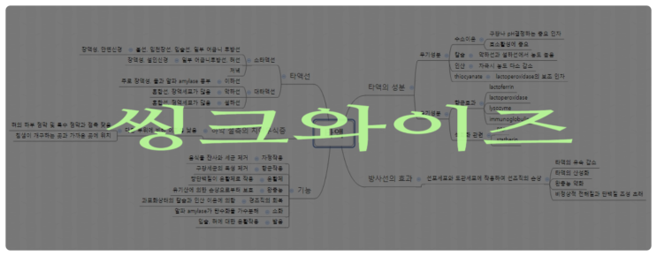  씽크와이즈 생각 정리 한 번에 OK! [재노스쿨 강의후기]