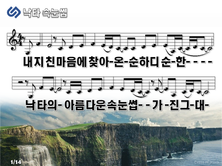  [PPT] 낙타 속눈썹