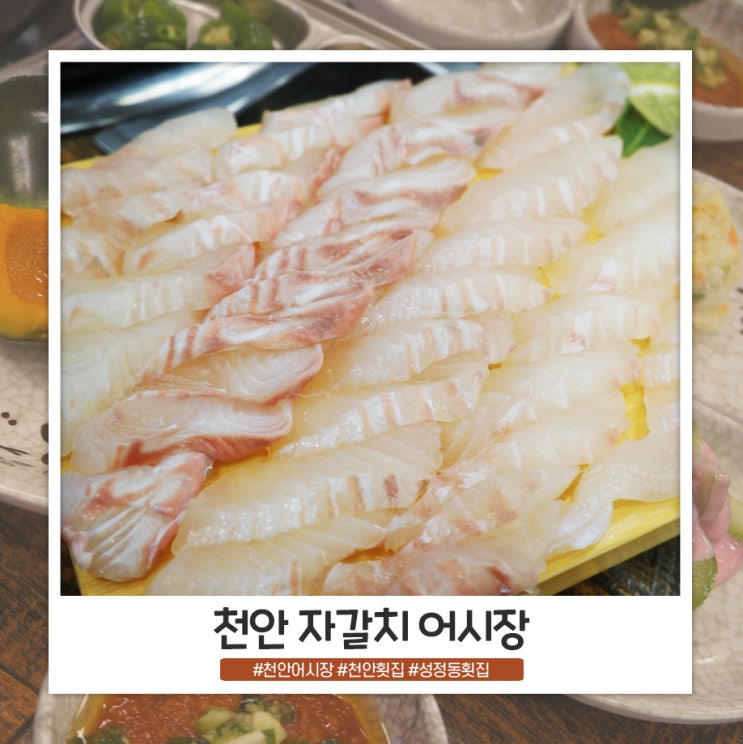 천안 횟집 자갈치 어시장 회식하기에도 좋아요 천안 횟집 자갈치 어시장 회식하기에도 좋아요