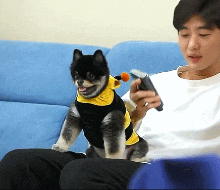 이태성 강아지 2마리 카오, 몬드 극강의 귀여움 이태성 강아지 2마리 카오, 몬드 극강의 귀여움