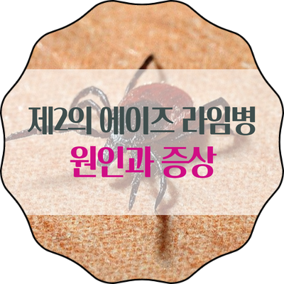 라임병 주의보!! 야외활동시 풀밭을 조심하시오!