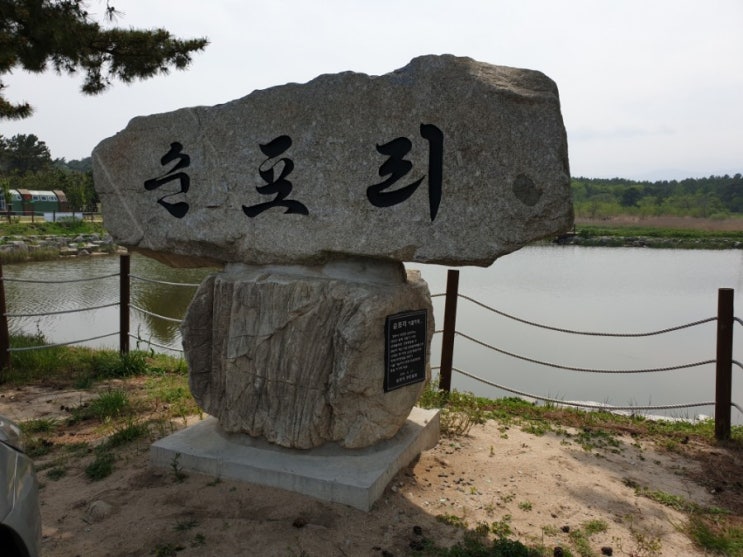 강릉) 순포늡지 강릉) 순포늡지