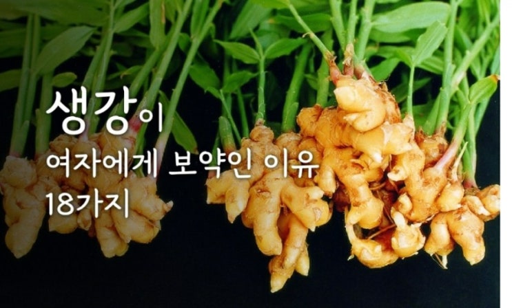 생강이 여자에게 보약인 이유 생강이 여자에게 보약인 이유