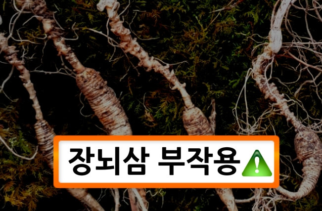  장뇌삼 부작용