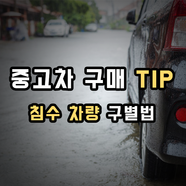  중고차 사기전 침수 확인하기