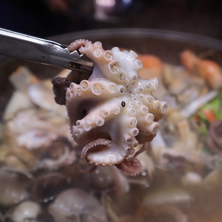  쭈꾸미 샤브샤브 맛조개 넣으니 더 시원해~(제철 주꾸미 데치는법)