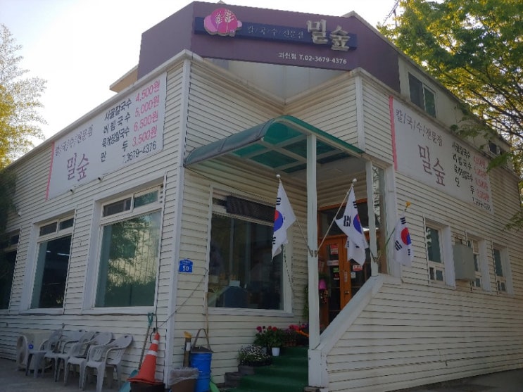  밀숲-과천 가성비갑 칼국수
