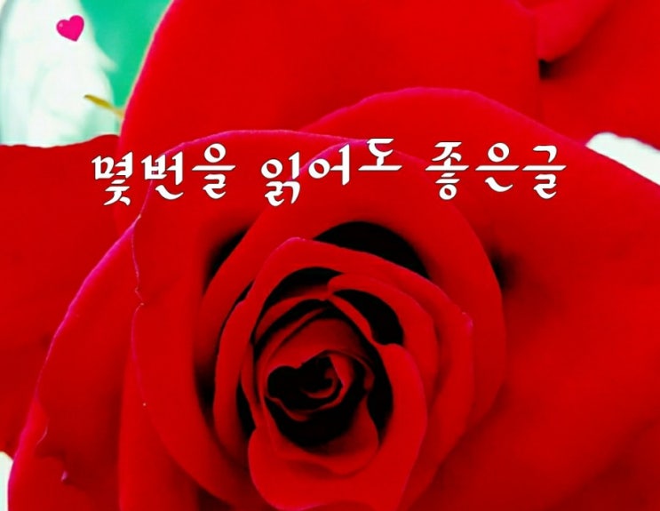  몇번을 읽어도 좋은글
