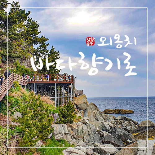  속초 당일치기 가볼만한 곳, 외옹치 바다향기로와 대포항 수산시장