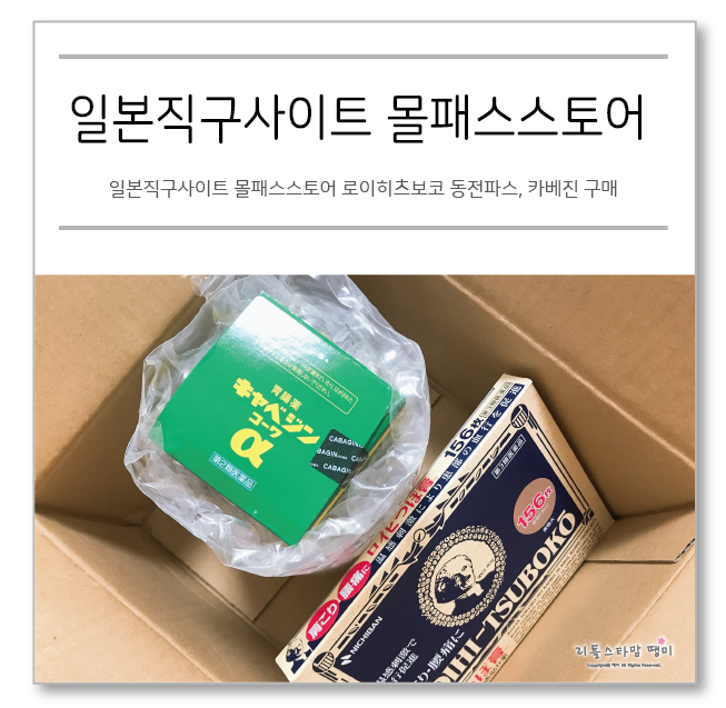  일본직구사이트 몰패스스토어 로이히츠보코 동전파스, 카베진 구매