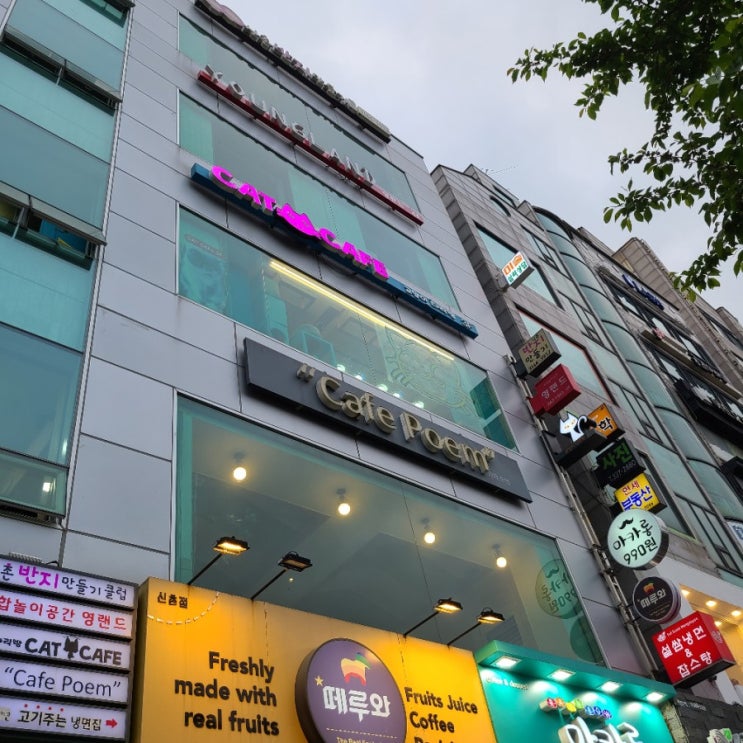  [데이트]요즘같은 날 다양한 놀거리가 가득한 '신촌 영랜드'! 방문후기/데이트 장소 추천 /mt장소/파티룸