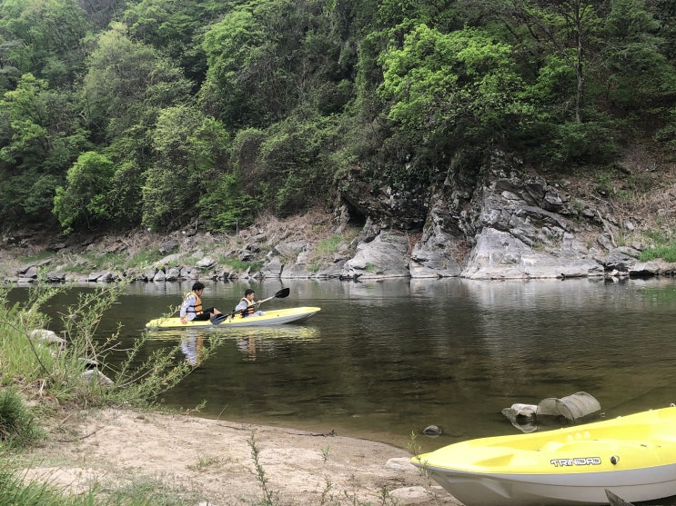  [충주:삼탄역]천등산캠핑장 좋은자리 인기많은 사이트 총정리!