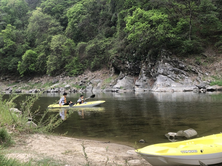 [충주:삼탄역]천등산캠핑장 좋은자리 인기많은 사이트 총정리!