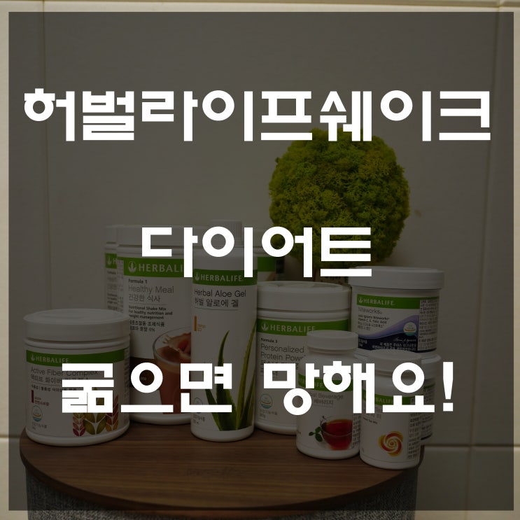  허벌라이프쉐이크 다이어트! 먹어야 빠진다!