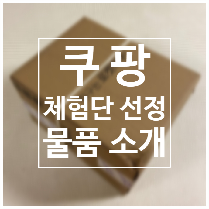  쿠팡 체험단 두 번째 선정되었어요! / 체험단 상품