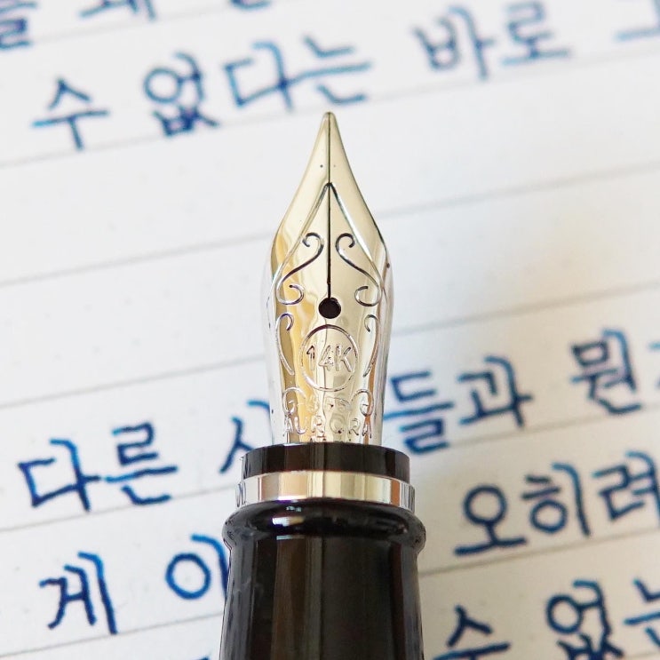  누구와도 나눌 수 없다 (오로라 입실론 리고로사 EF닙)