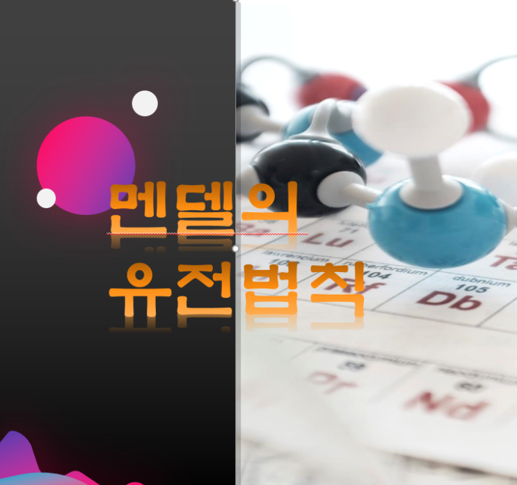  멘델의 유전법칙, 우열의법칙, 독립·분리 법칙