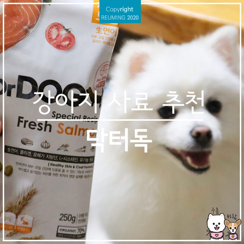 애견사료추천 닥터독 애견모피사료 6